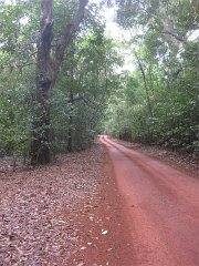 6016 Cape York IXUS Jul11 (Medium)